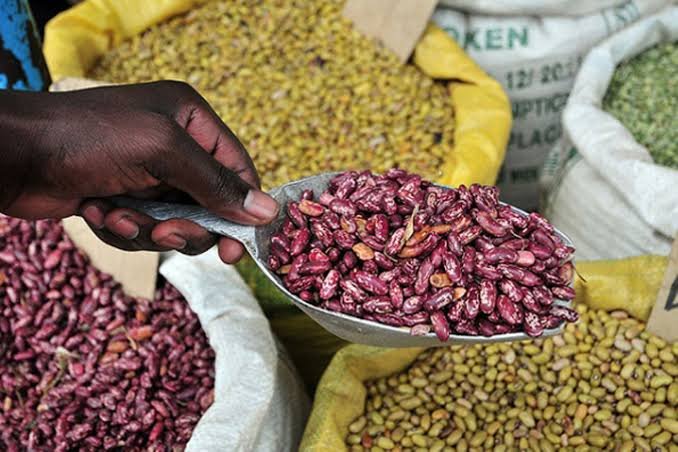 Export Farmer